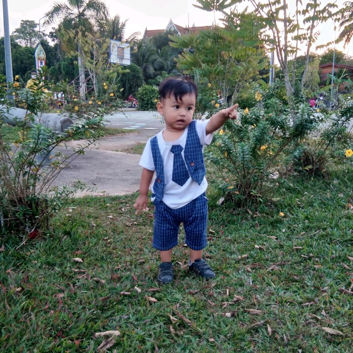 lsmee