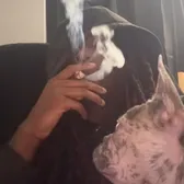 z5🕸️