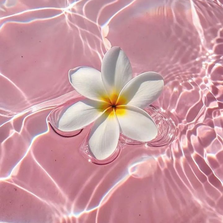 💖