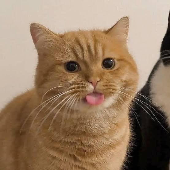 JK