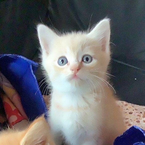 My Damian😺