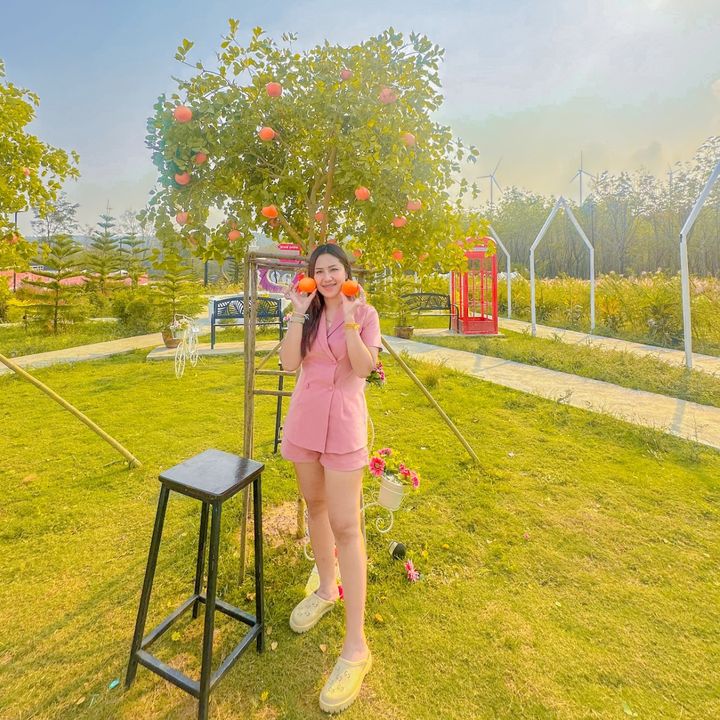แคทซ็อป