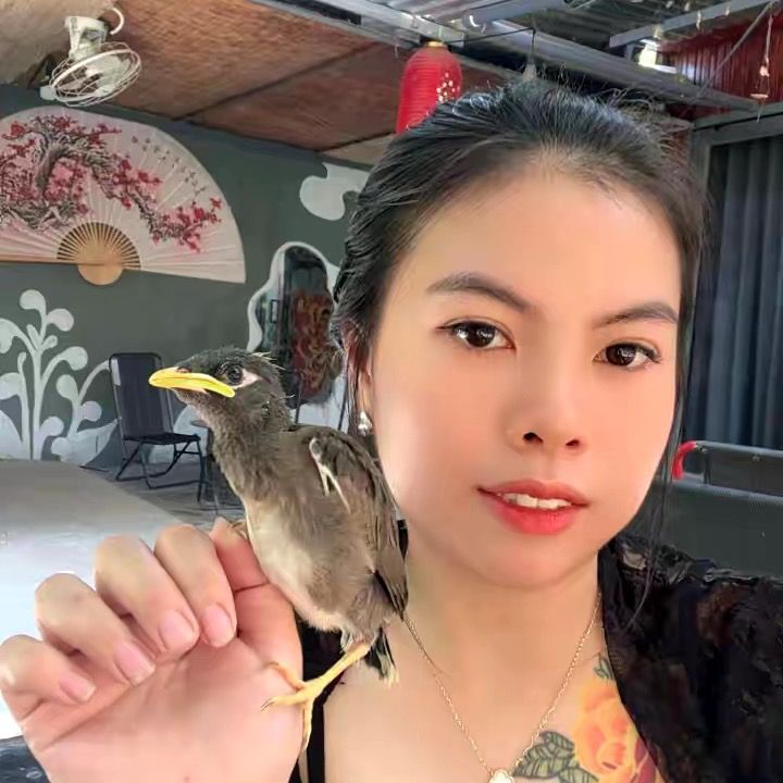 Tatu Quán