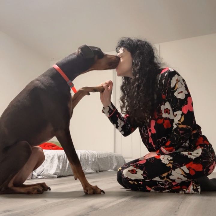 Manda and the dogs