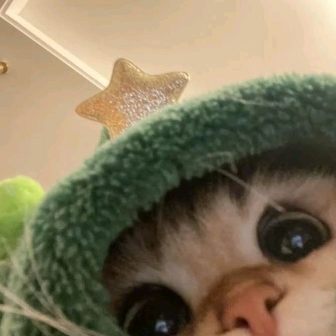 dynaajou