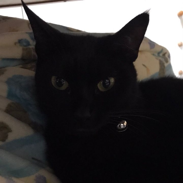 アツ