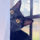 Sam