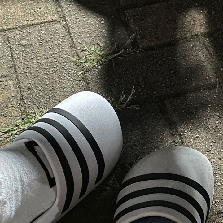 ぴょん