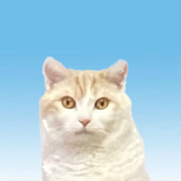 しろジジ