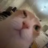 TvOdessa