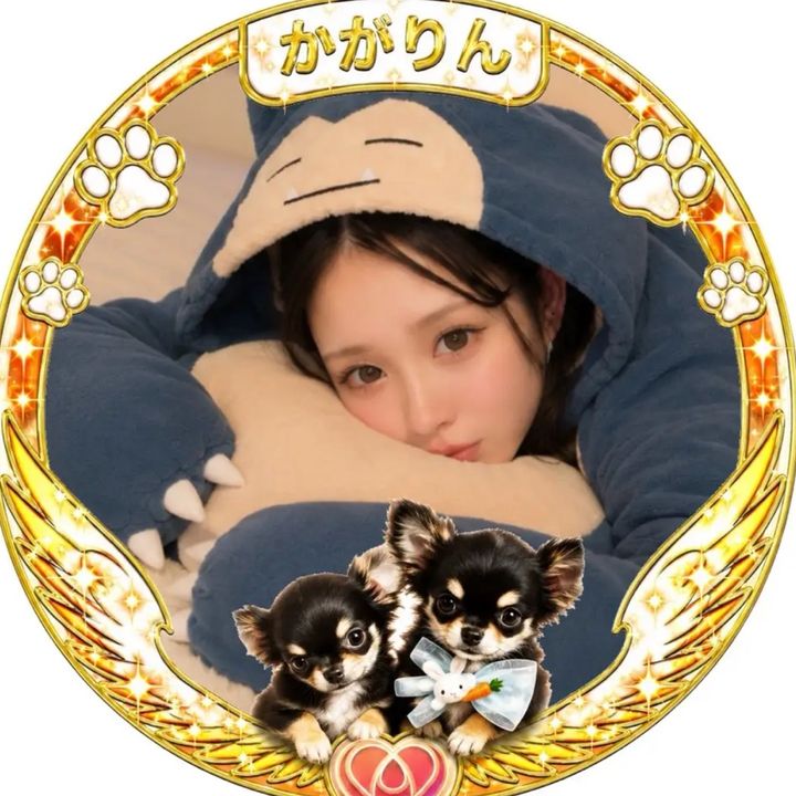 9/1🎂かがりん🐶🧡