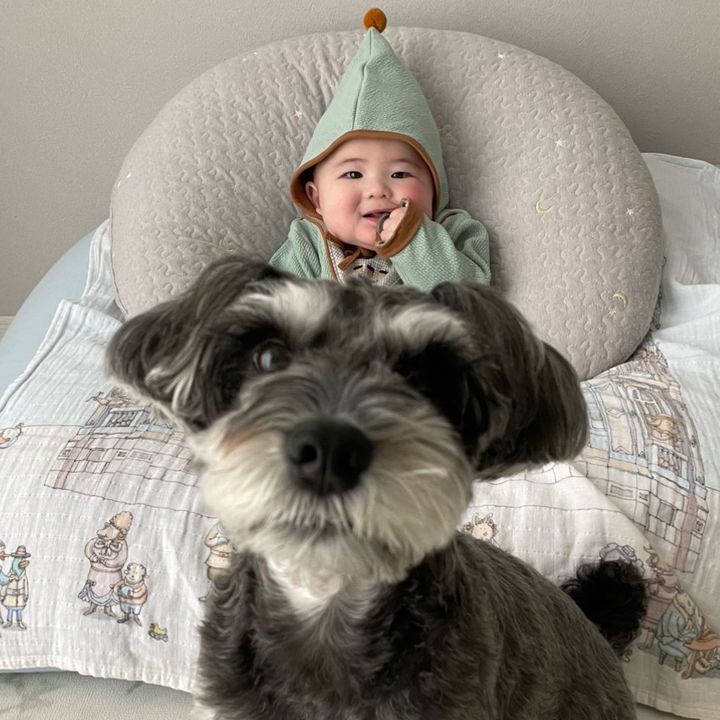 シュナと息子とそれから鬼。