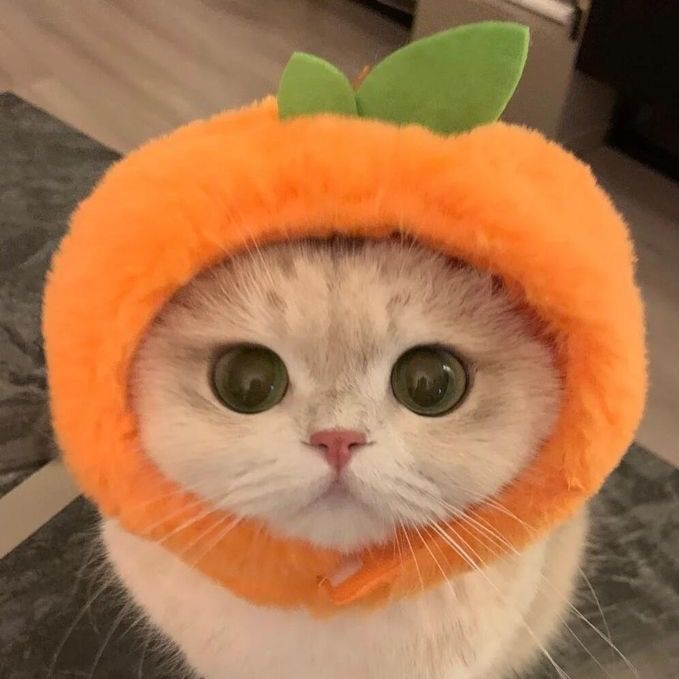 ️