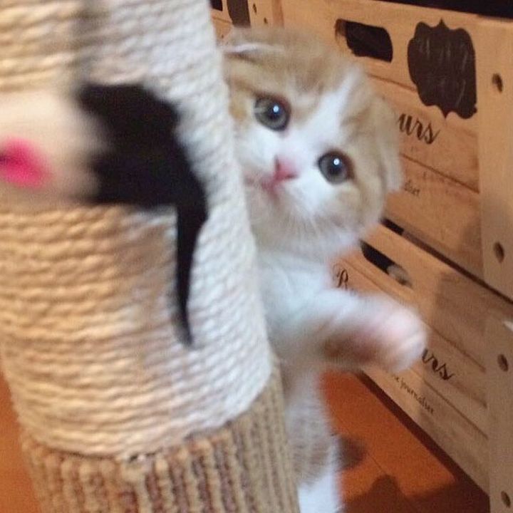 ☺︎