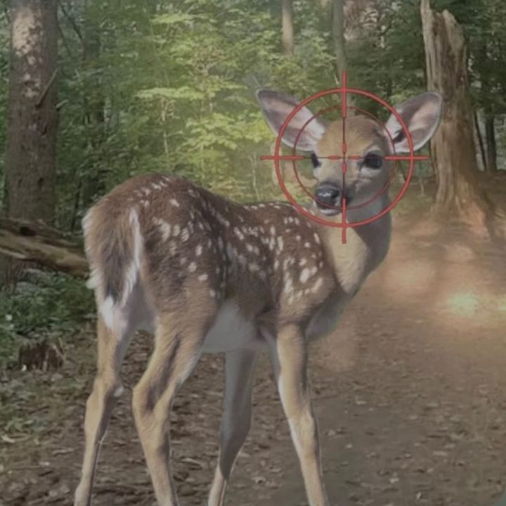 ⋆༺𓆩☠︎︎𓆪༻⋆