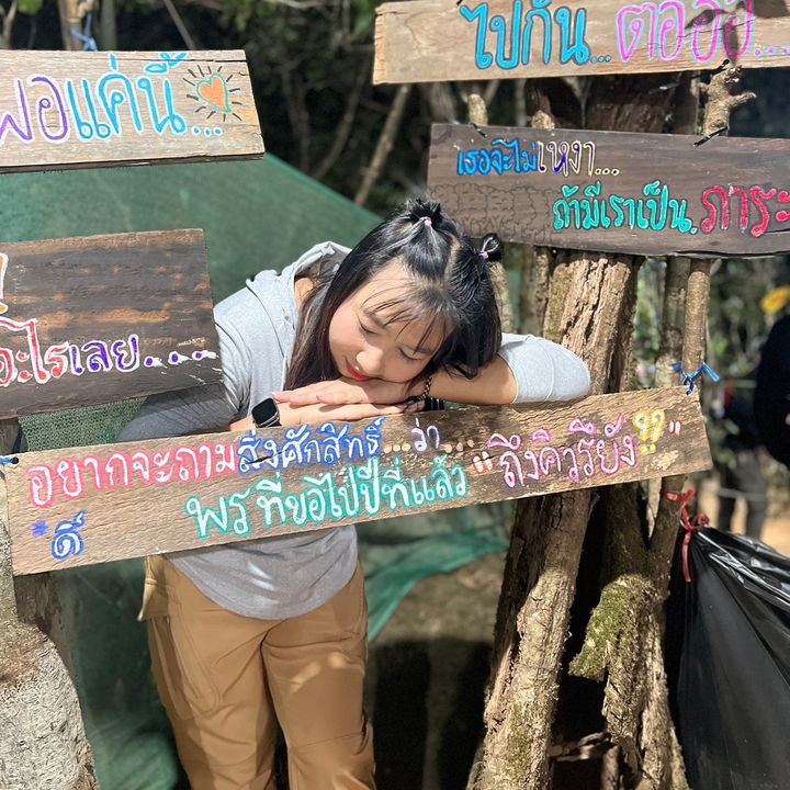 อิหมูแอมมี่
