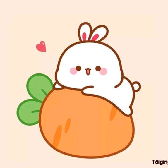 LiLy✿