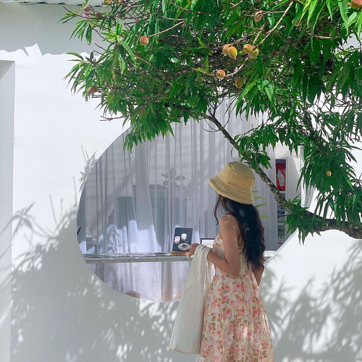 Hoa kẽm nhung giang le