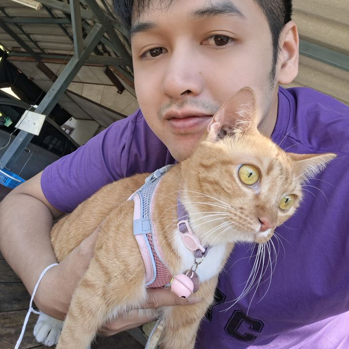 BEER มีแมวส้มที่เป็นลูกรัก 🥰