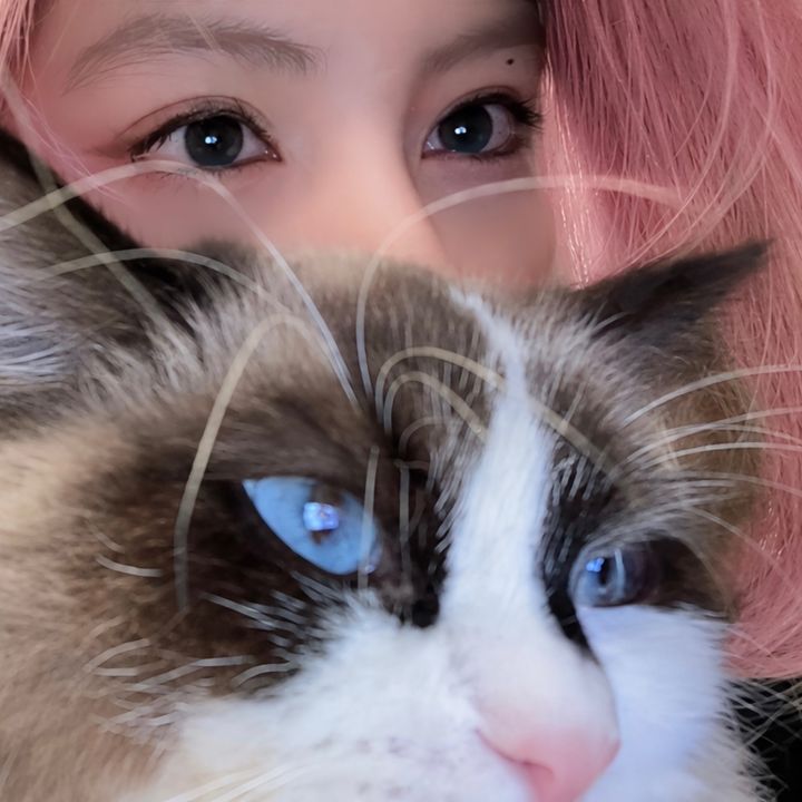 Kittyah ˚.🎀༘⋆