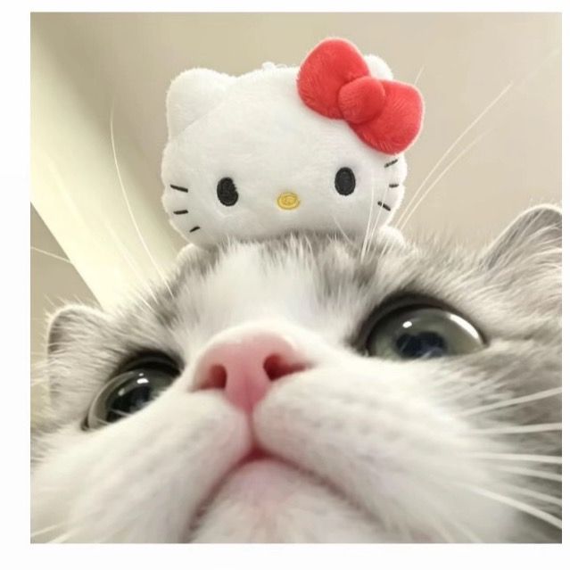 น้องภีม.