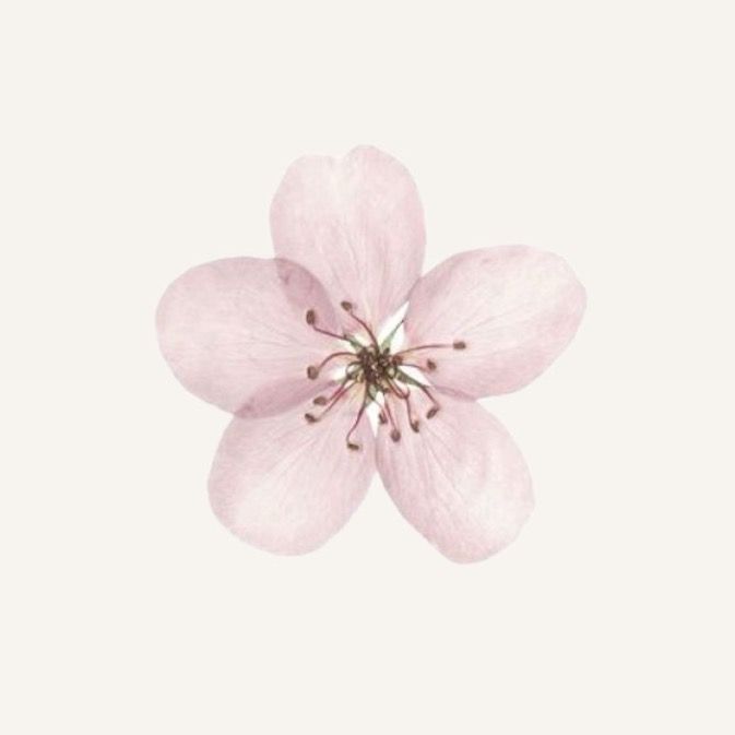 هُدَى ✿