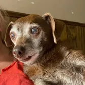 grandmashouserescue