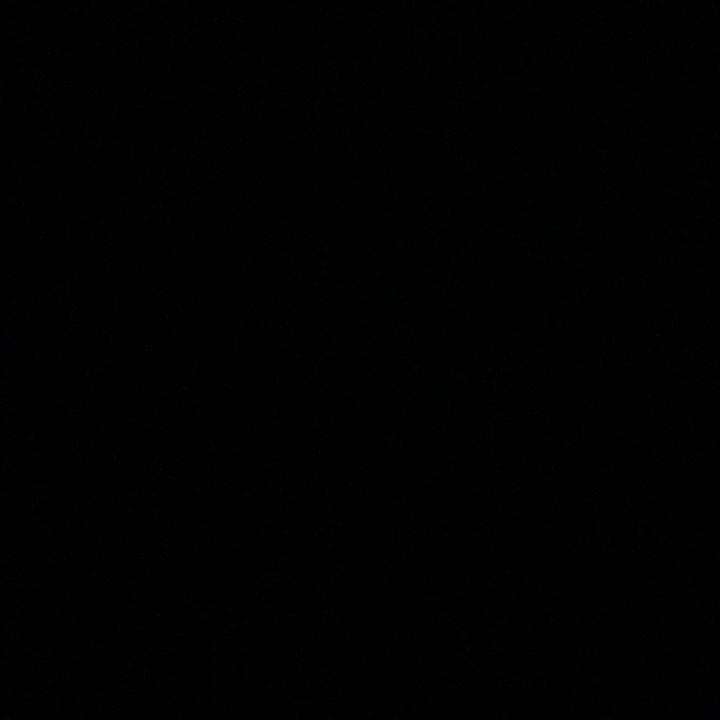 zbue8888