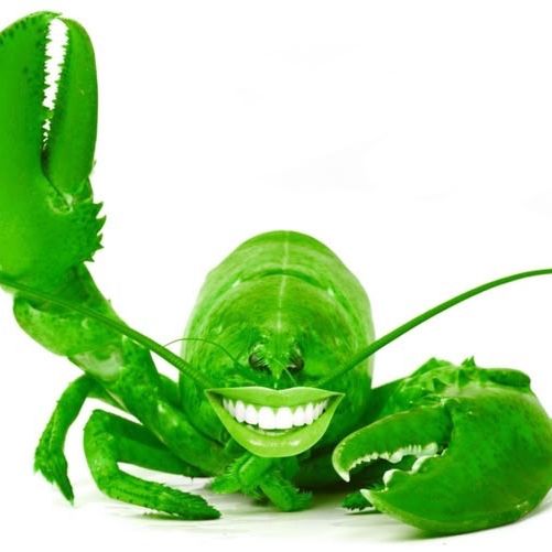 🦞 ryan 🦞