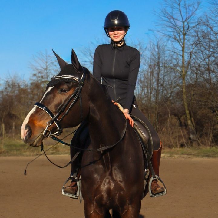 mcs_horses