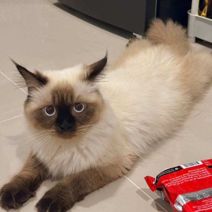 น้องคิตตี้ชอบหน้าบูด😕