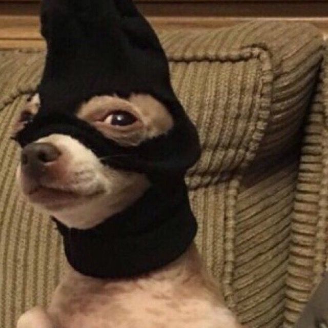 j 🫶🏼