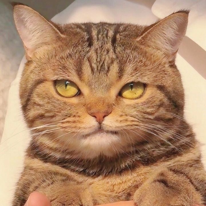 天使チャン·̩͙꒰ঌ