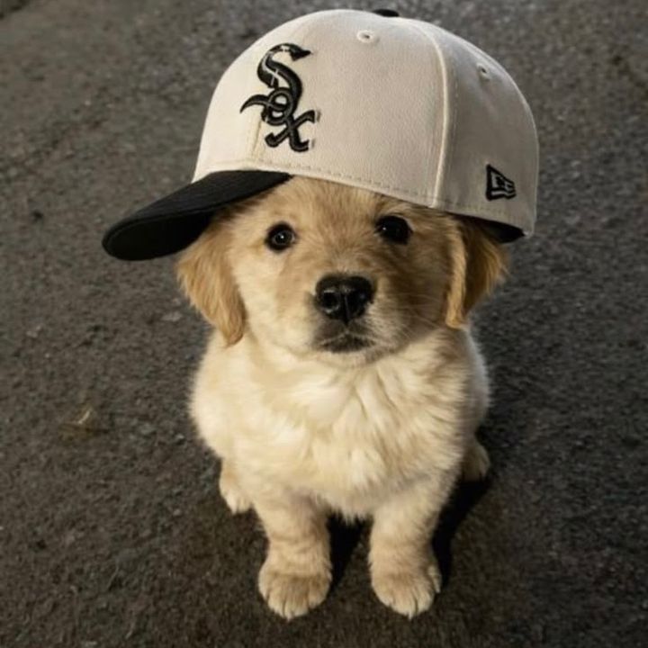 babysixsack