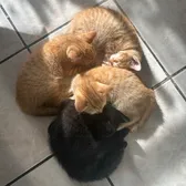 alexa092178🌺