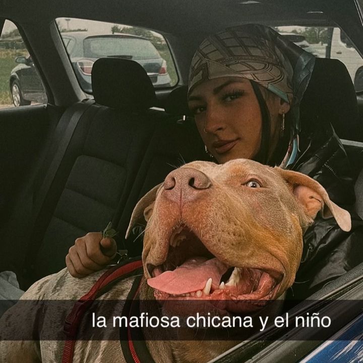 𝑁𝑖𝑘𝑜𝑙𝑎 𝑅𝑒𝑦𝑛𝑎