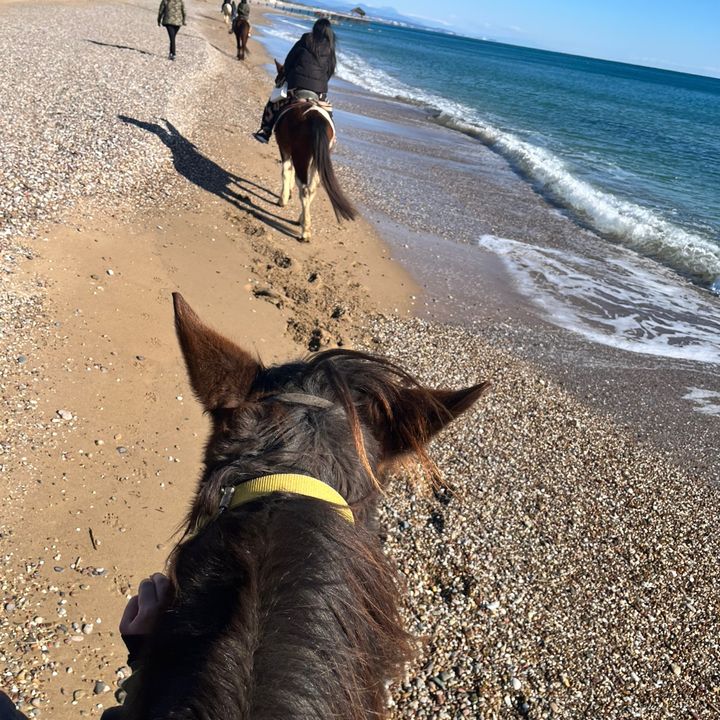 sully