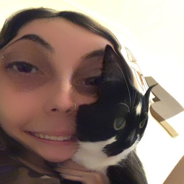 Labella