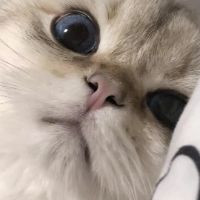 alyssahjvhjj_m76