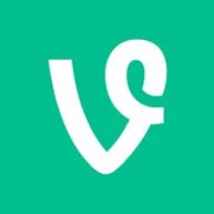 Vinetokkk