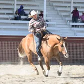 Cowgirl Sandy