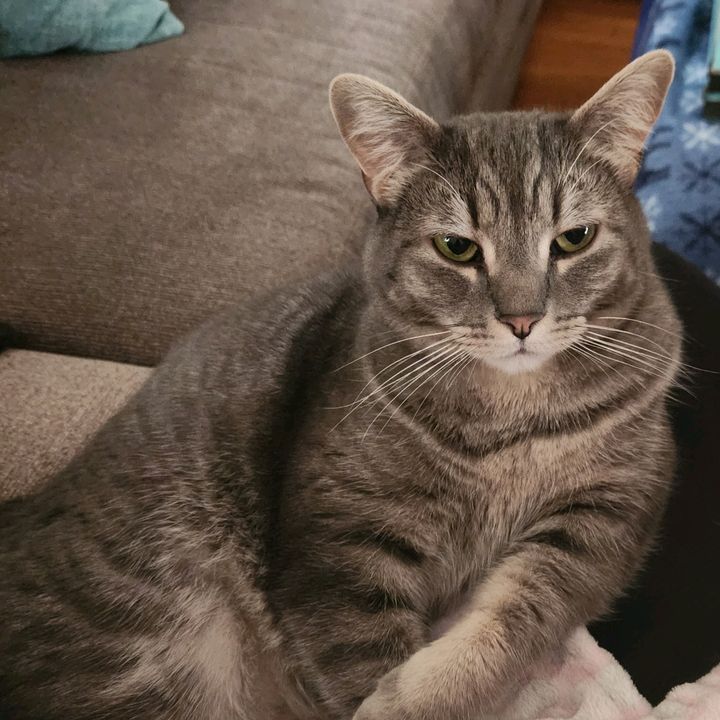 Jade