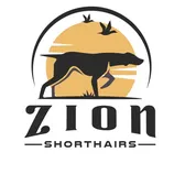 zionshorthairs