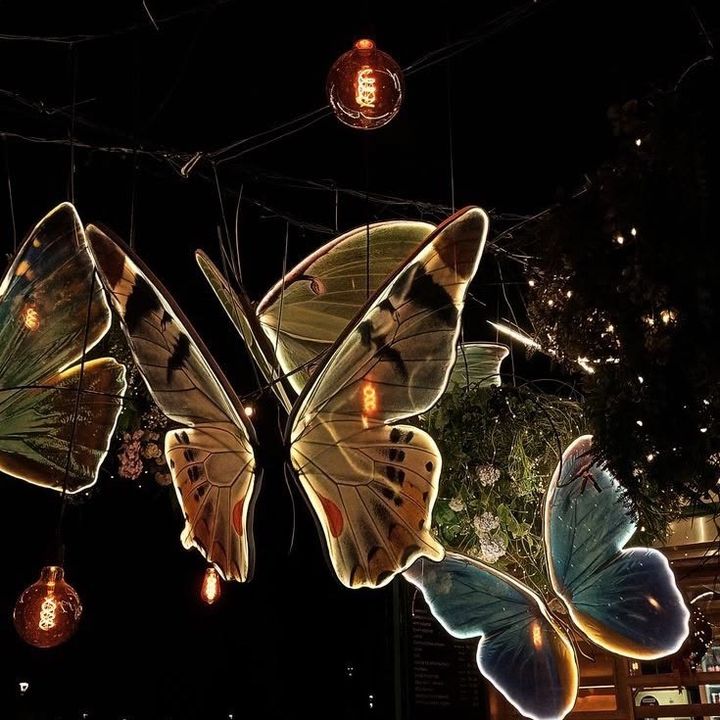 🦋🌈🙆🏻‍♀️🌸💫💞