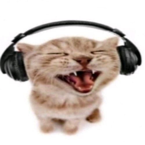 cqajbdm