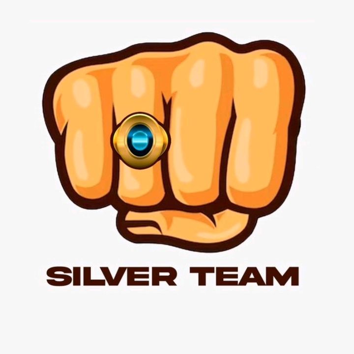 silverteam