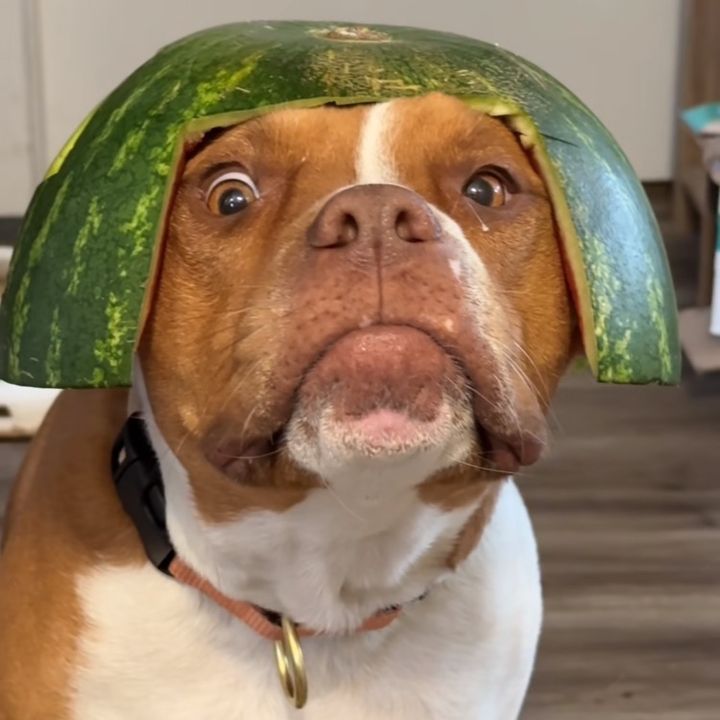 tqwe