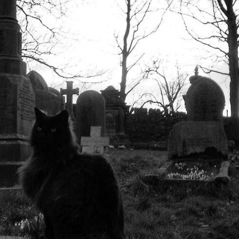 𝔧𝔞𝔡𝔢 ☥ ⛧ ✃