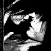 nocturnexi