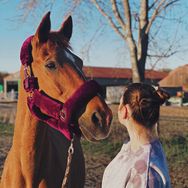 kaempferherzen_official